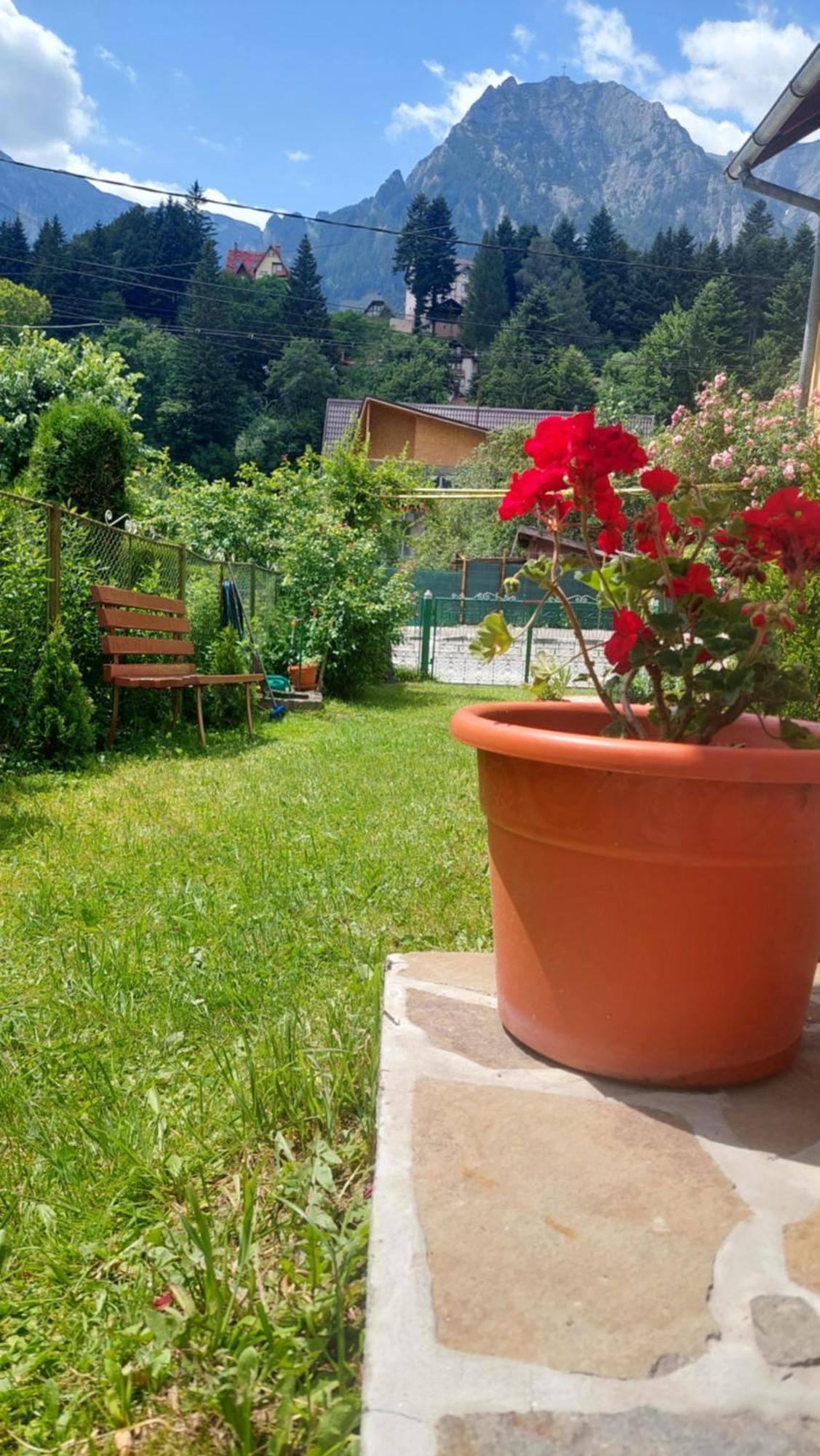 Casa Tex Villa Buşteni Exterior foto